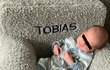 Malý Tobias