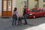 Krejčíře a Matějkovou vyfotili spolu v Kroměříži. Co spolu mají?