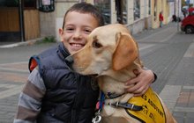 Příběh autisty Tomáška (9): Místo léků ho tiší pes!