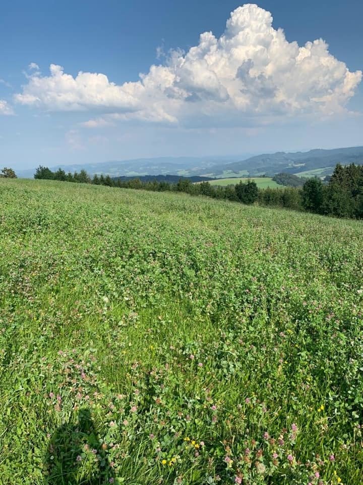 Dovolená Tomáše Petříčka (ČSSD): Výšlap po Hostýnských vrších