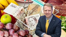 Prezident Svazu obchodu a cestovního ruchu ČR Tomáš Prouza o proměně nákupního chování Čechů.