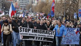 Vandasovci na Václavském náměstí. DSSS tam demonstrovala i na 17. listopadu 2015.
