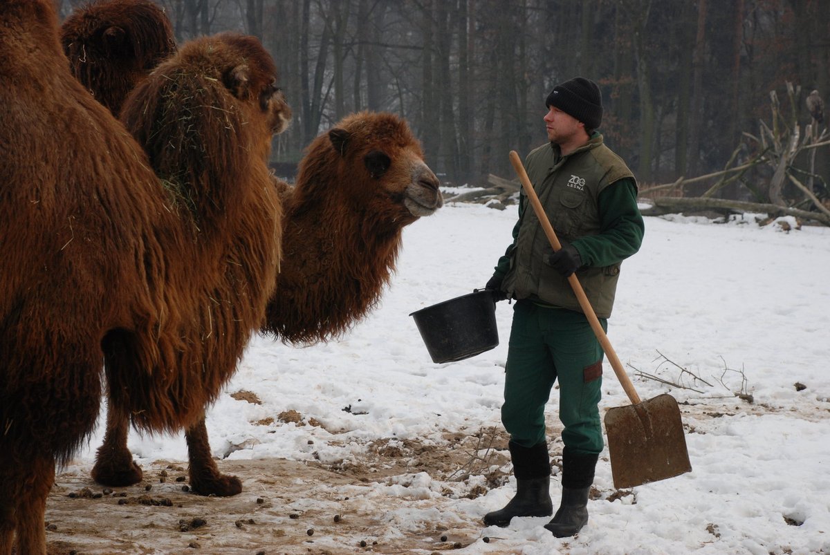 Tomáš Vrána (36), ošetřovatel v zoo