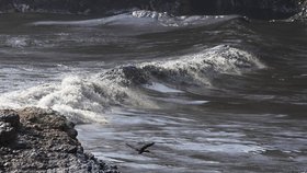 Ropa uniklá do moře po tsunami vyvolané výbuchem sopky v Tonze (leden 2022)