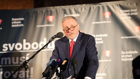 Prezidentský kandidát Mirek Topolánek zmínil priority v oblasti domácí politiky