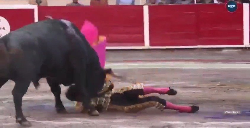 Při býčích zápasech v Mexiku probodl býk toreadorovi krk
