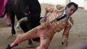 Toreadora Ivána Fandiña nabodl býk na rohy. Muž v nemocnici podlehl zraněním.