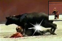 Býk znásilnil trpasličí toreadorku! Zalehl ji v koridě před zraky malých dětí