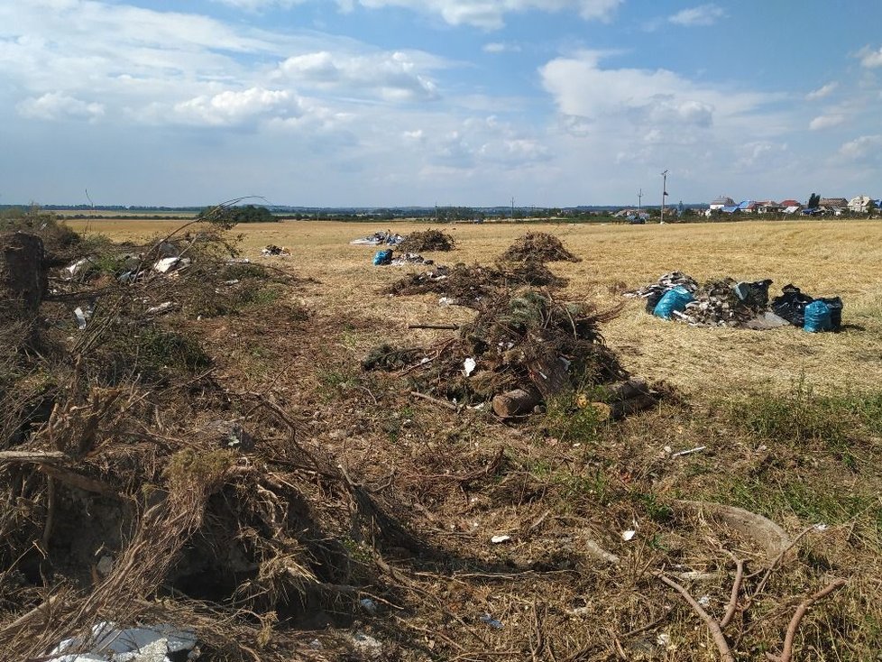 Dobrovolníci přispěchali na výzvu spolku Ukliďme Česko na pomoc. U polí vznikají jejich zásluhou obří hromady, které traktory odvážejí na skládky.