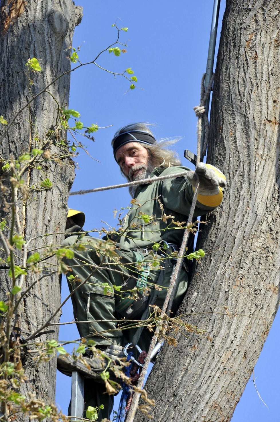 Arborista Milan Jelínek ošetřoval 7. července 2021 na hřbitově v Mikulčicích na Hodonínsku stromy poškozené nedávným tornádem.
