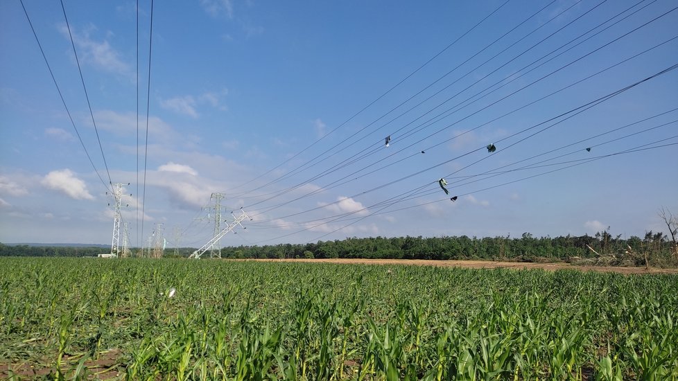 Tady se tornádo zastavilo! Zhruba dva kilometry za Hodonínem směrem na Rohatec. Z lesíku, který tu býval, zbyly jen oholené pahýly. Stožáry vysokého napětí jsou vyvrácené, na drátech jsou namotané plechy, které letěly nejméně dva kilometry...