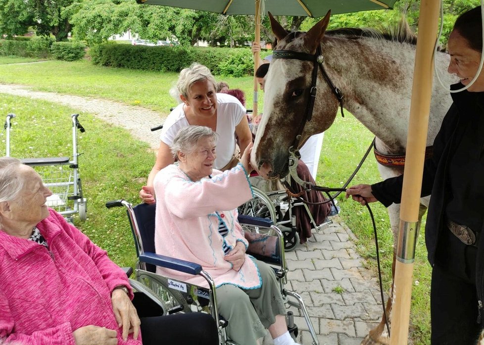 Senioři v Kyjově se těší i na návštěvu šestiletého valacha Apače z Hipocentra v Koryčanech