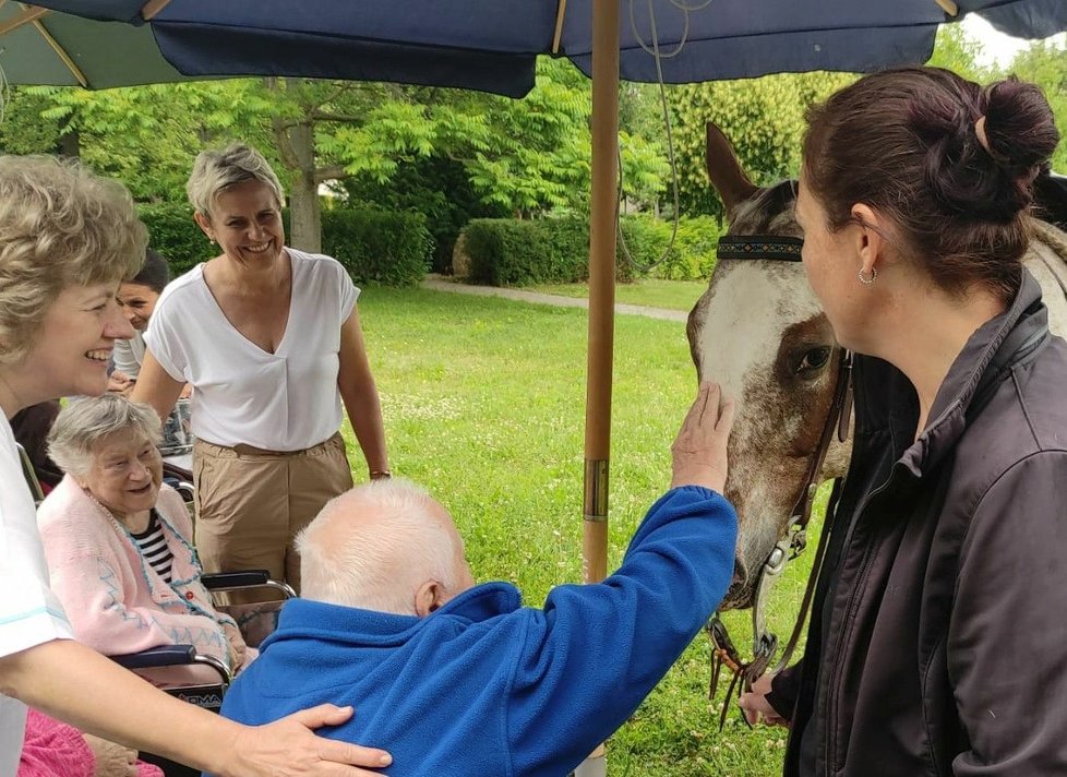 Senioři v Kyjově se těší i na návštěvu šestiletého valacha Apače z Hipocentra v Koryčanech