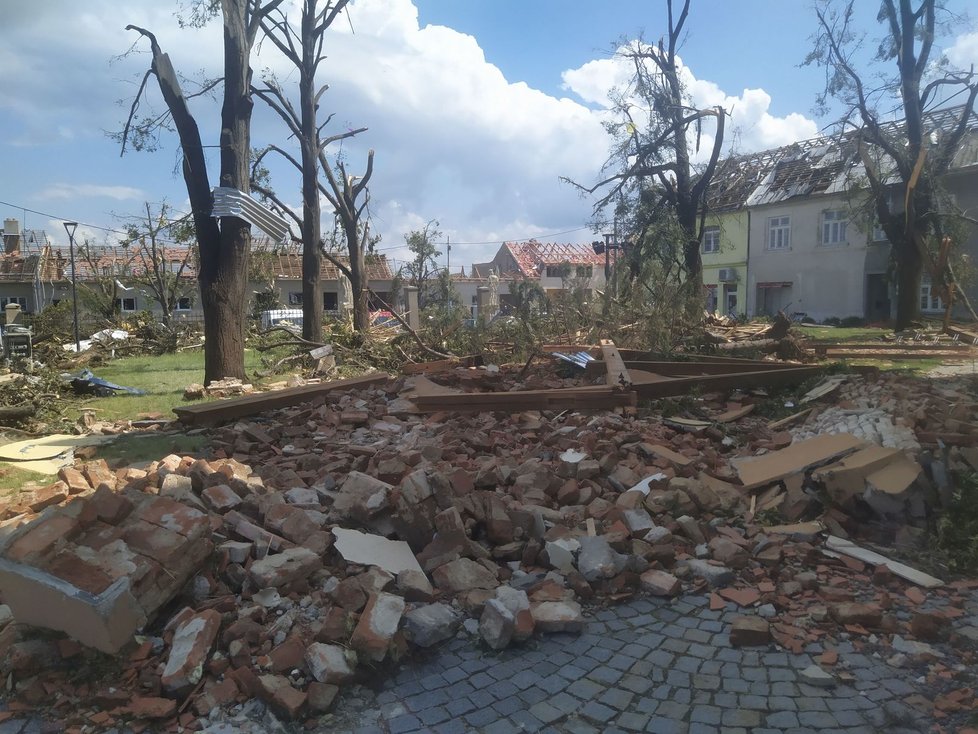 Studenti a experti z Mendelovy univerzity budou obcím postiženým tornádem pomáhat s obnovou zničené zeleně.