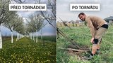 Vláďův životní sen smetlo za pár minut tornádo: Z vypiplaného sadu je krajina hrůzy 