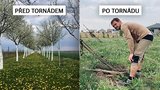 Čtyři měsíce po tornádu: Sadař Vladimír (35) obnovuje svůj životní sen 