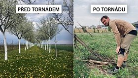 Sad Vladimíra Molaty před a po ničivém tornádu.