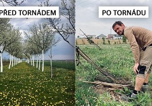 Sad Vladimíra Molaty před a po ničivém tornádu.