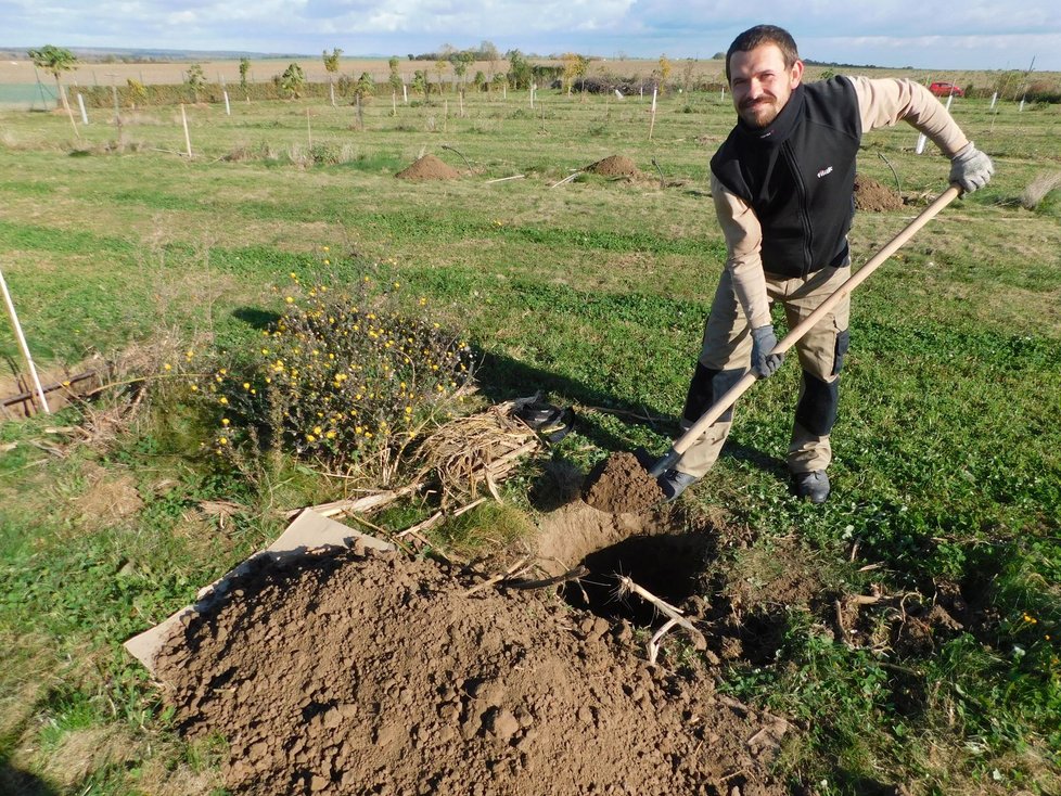 Červnovou pohromu připomíná už jen hromada zničených stromků.