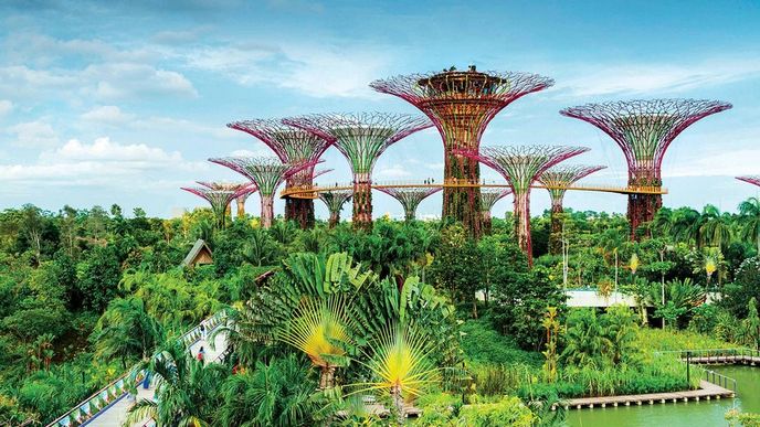 Toto není scifi. Toto je Gardens by the Bay, slavný park v Singapuru, jímž vláda zahájila svou výstavbu „města v zahradě“, jak zní motto programu. Na snímku jsou vertikální zahrady zvané „supertrees“, vysoké až 50 metrů.
