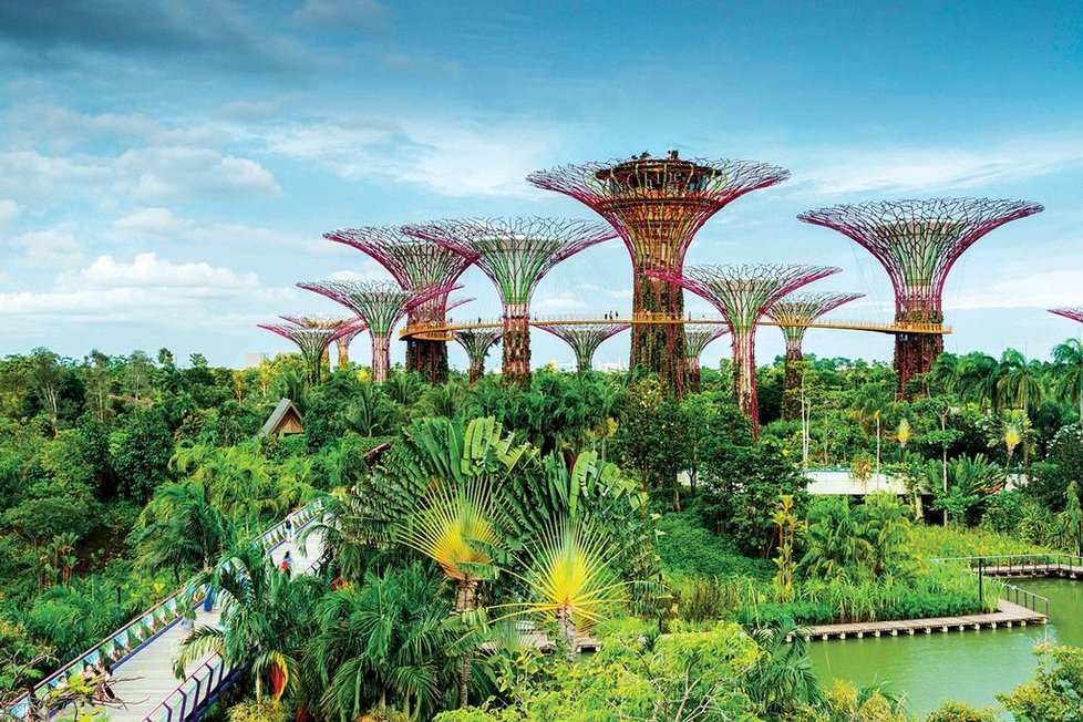 Toto není scifi. Toto je Gardens by the Bay, slavný park v Singapuru, jímž vláda zahájila svou výstavbu „města v zahradě“, jak zní motto programu. Na snímku jsou vertikální zahrady zvané „supertrees“, vysoké až 50 metrů.