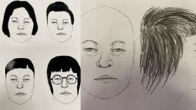 Mrtvá bez totožnosti! Ostatky shrbené ženy našli v Plzni u rozhledny Sylván
