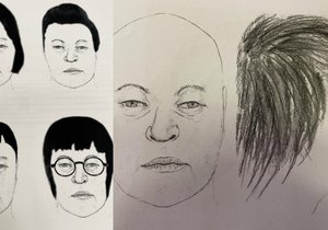 Policisté z Plzně pátrají po totožnosti neznámé mrtvé ženy. Její ostatky nalezli u rozhledny Sylván.