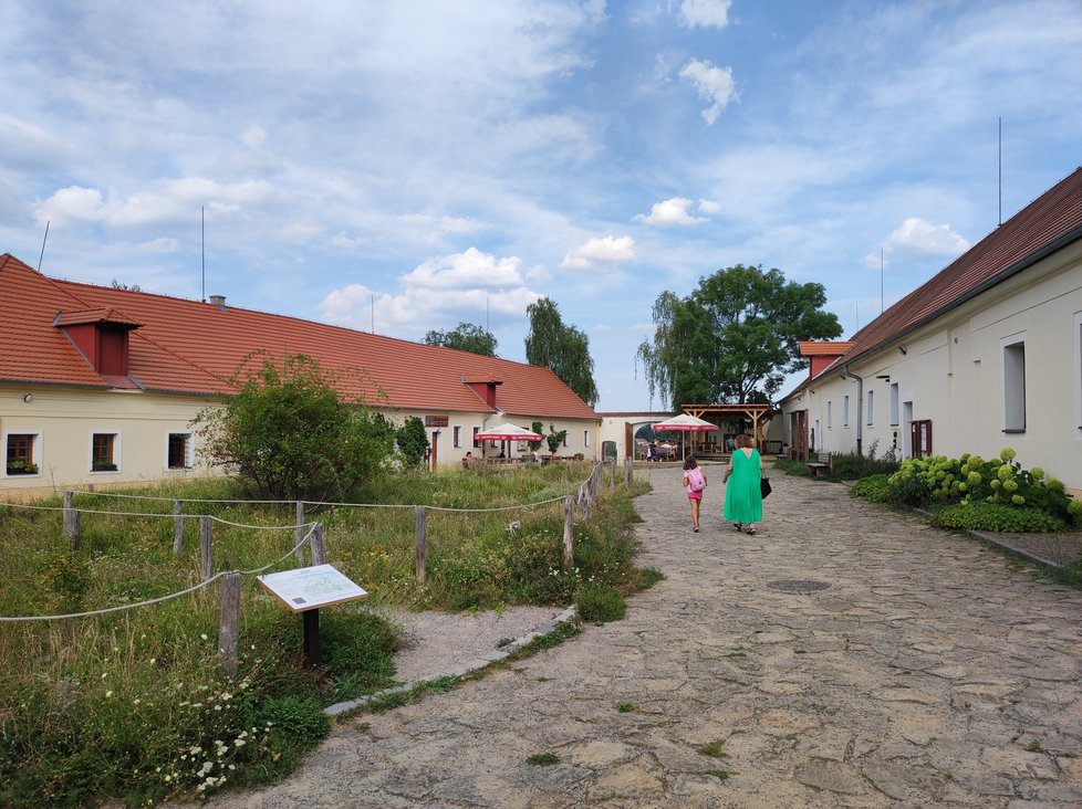 Toulcův dvůr v létě v Praze 10 přenese návštěvníka na vesnici