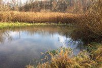 Kvalita vody v Praze se zlepšuje: Město pravidelně kontroluje rybníky i potoky