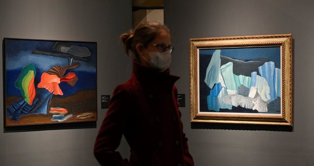 Obraz avantgardní malířky Toyen se vydražil za rekordních 79,56 milionu korun