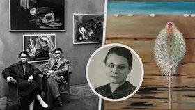 Marie Čermínová alias Toyen. Kdo byla avantgardní malířka?