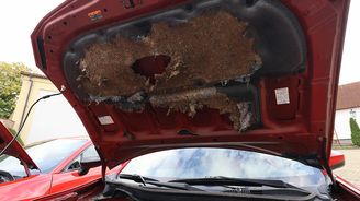 Toyota GT86/GR86 Toyota GT86/GR86