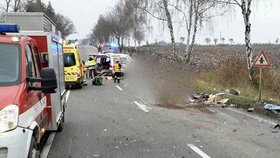 K tragédii došlo u Bořitova na Blanensku. Viník (71) nehody špatně objížděl porouchaný vůz a v protisměru se střetl s jiným osobákem. Starší řidič (+68) zemřel, další dva lidé utrpěli vážná zraněni.