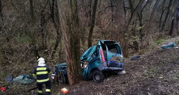 Auto vyletělo ze silnice a narazilo do stromu: Dvacetiletá řidička na místě zemřela