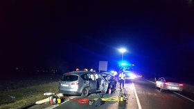 Při pondělní večerní nehodě u Branišovic zemřel řidič jednoho z osobáků, druhý skončil ve vážném stavu v nemocnici. Vozy se srazily na hlavní cestě v plné rychlosti.