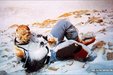 Tragické osudy horolezkyň: Japonku nechali kolegové umrznout, Američanka zemřela s…