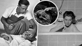 Tragické osudy válečných fotografek: Koupel v Hitlerově vaně i smrt pod pásy tanku!