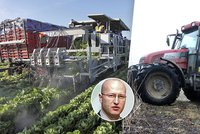 Čeští zemědělci chtějí na práci Ukrajince a prosí: Zrychlete řidičáky na traktor