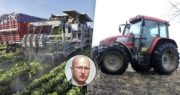 Čeští zemědělci chtějí na práci Ukrajince a prosí: Zrychlete řidičáky na traktor