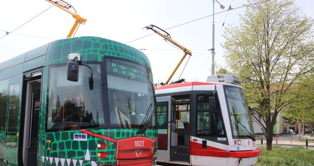 První tramvaj Drak, která vznikla v Dopravním podniku města Brna je zelenočerná a má červenou roušku.