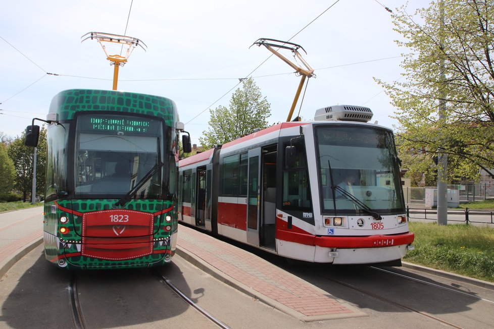 První tramvaj Drak, která vznikla v Dopravním podniku města Brna je zelenočerná a má červenou roušku.