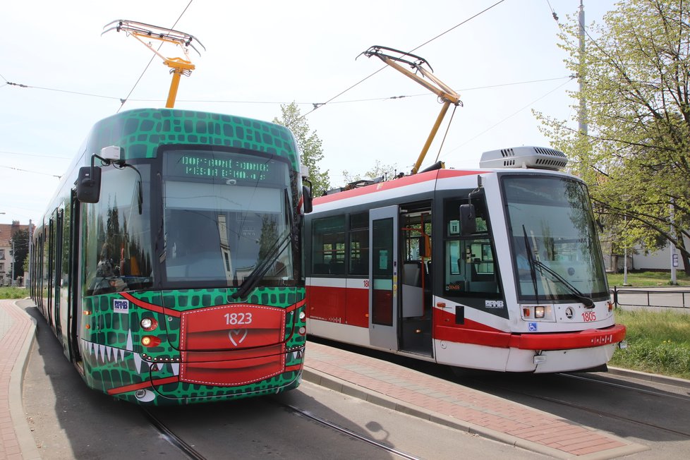 První tramvaj Drak, která vznikla v Dopravním podniku města Brna je zelenočerná a má červenou roušku.