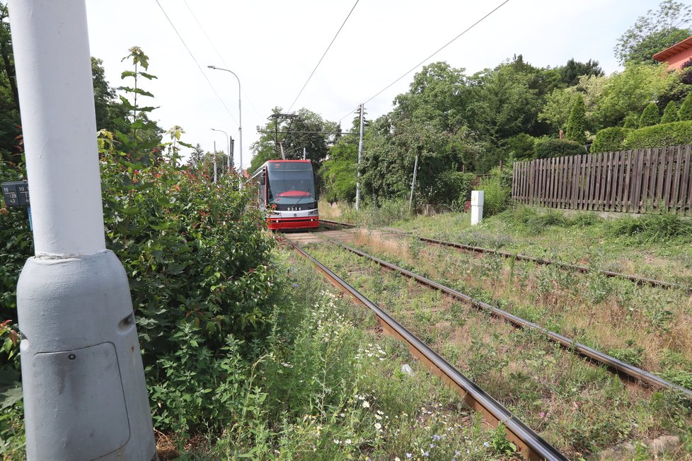 Tramvaj v ulici Trojská