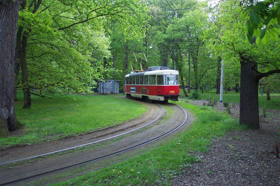 Jeden z největších pražských parků je Stromovka.