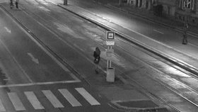 Policisté hledají mladou ženu, které v Plzni sebral cizinec mobil. Svědci ho chytili, poškozené vrátili telefon a ta odjela tramvají.