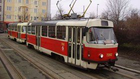 Tramvaj na Libuš dostala od ekologů zelenou: Kvůli stavbě trati přestěhují mravence