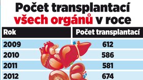 Počet transplantací všech orgánů v roce