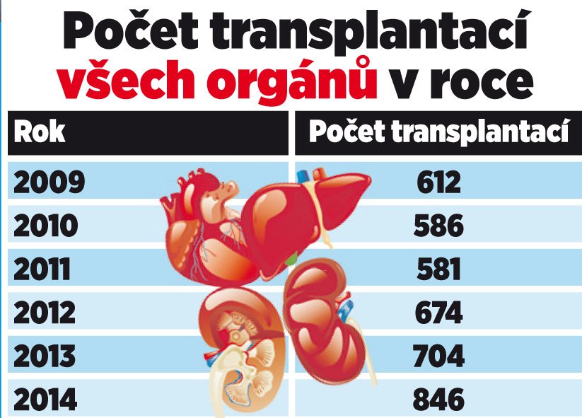 Počet transplantací všech orgánů v roce