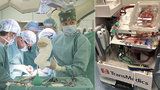 IKEM je největší transplantační centrum Evropy: Loni tam nemocným voperovali 540 orgánů