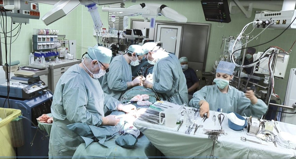 Lékaři z Centra kardiovaskulární a transplantační chirurgie v Brně při transplantaci jater.
